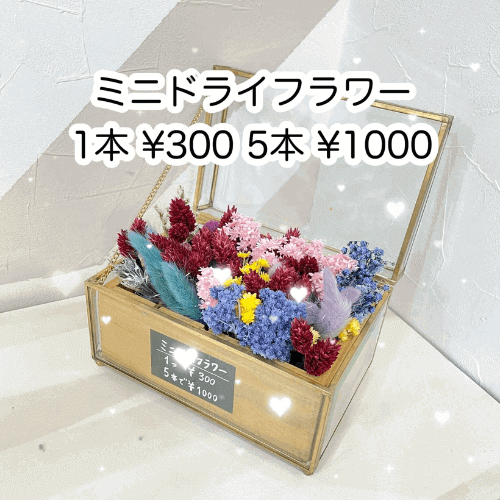 1本¥300
5本¥1,000